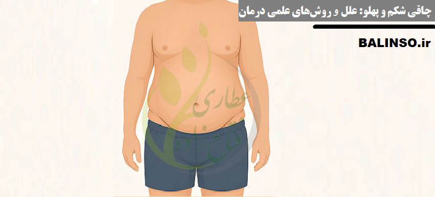 چاقی شکم و پهلو: علل و روش‌های کاهش چربی | علمی و تجربی